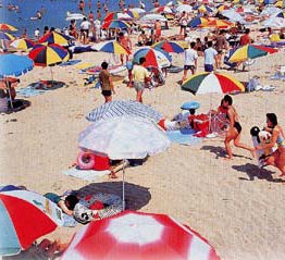 �����O�r�[�`���V���C������